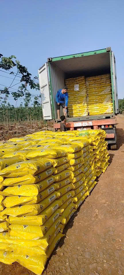 Container nhập khẩu nguyên kiện về vườn